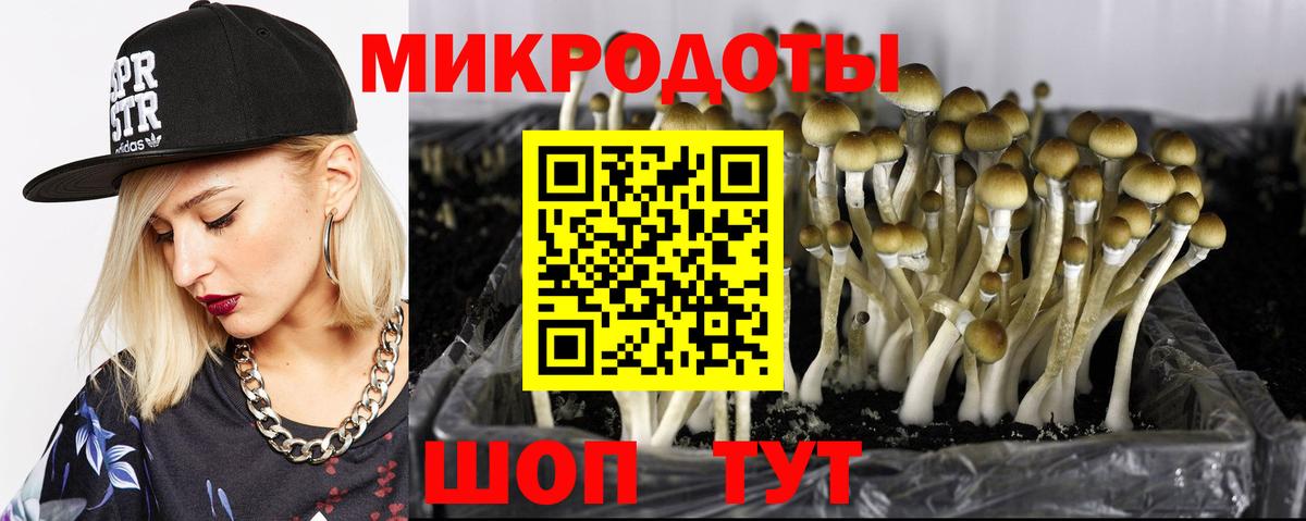 Галлюциногенные грибы GOLDEN TEACHER  Вход с VPN  Арсеньев 